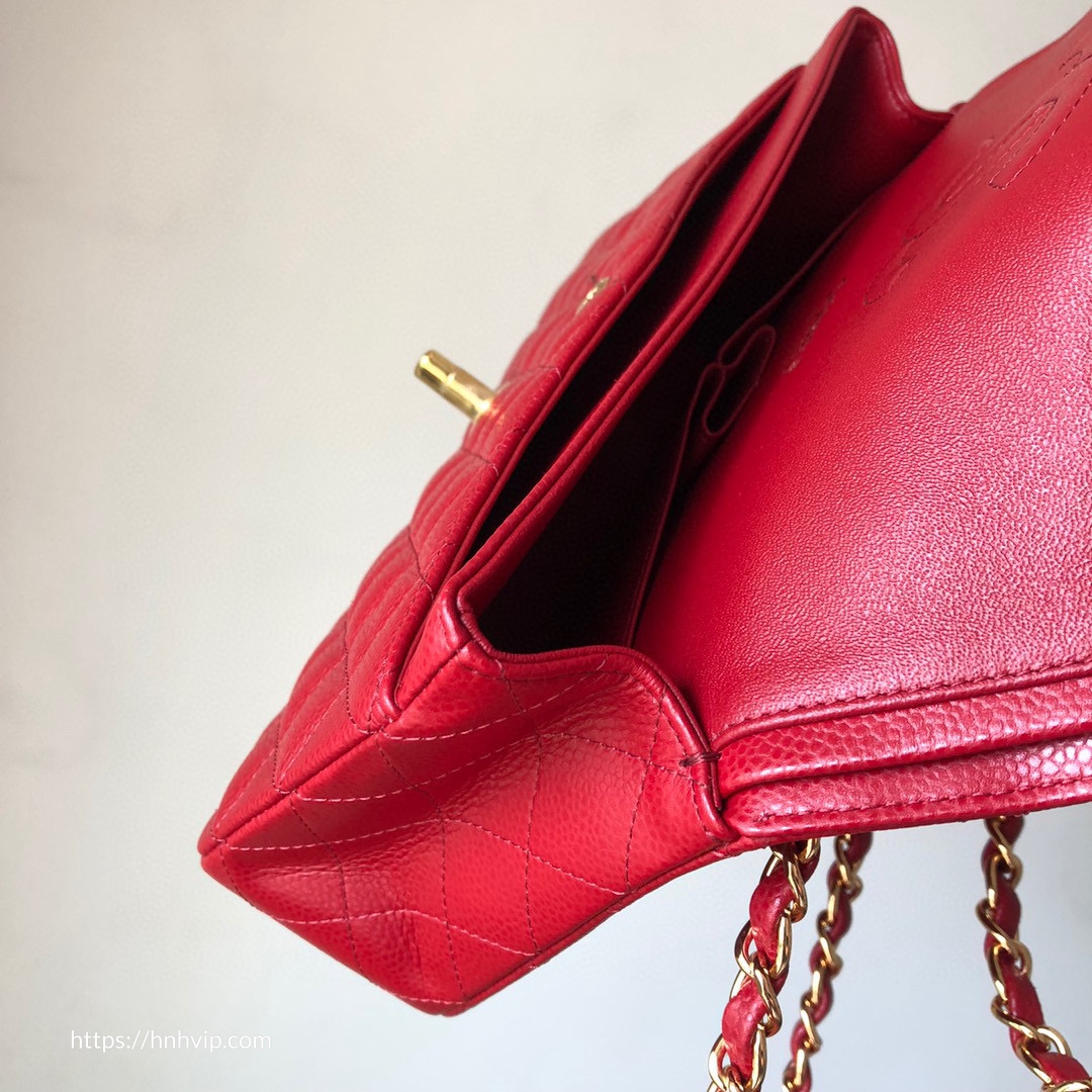 Chanel Classic Flap Bag 25cm