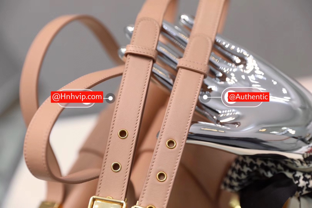 DIOR 30 MONTAIGNE BAG Rose Des Vents Box Calfskin