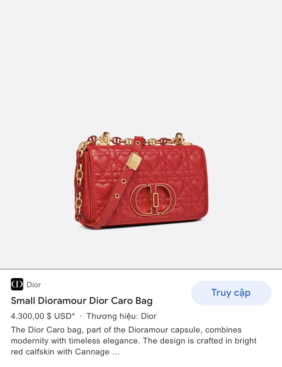 Small Dioramour White Lady Dior  AWL1780  LuxuryPromise
