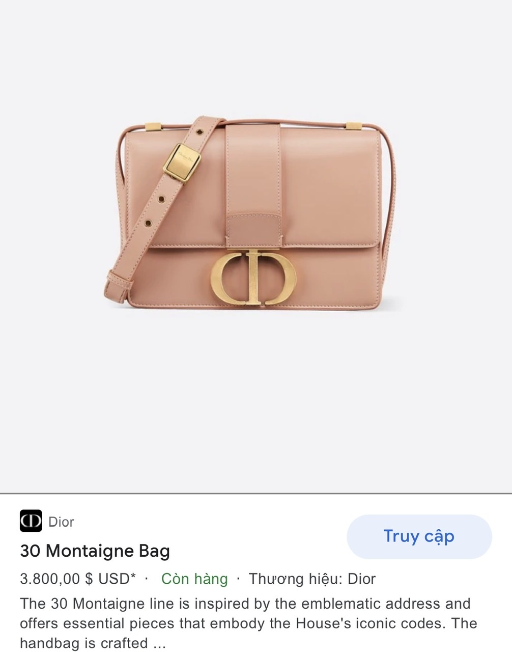 DIOR 30 MONTAIGNE BAG Rose Des Vents Box Calfskin