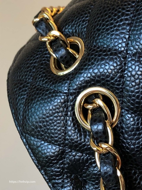 Chanel Classic Flap Bag 25cm