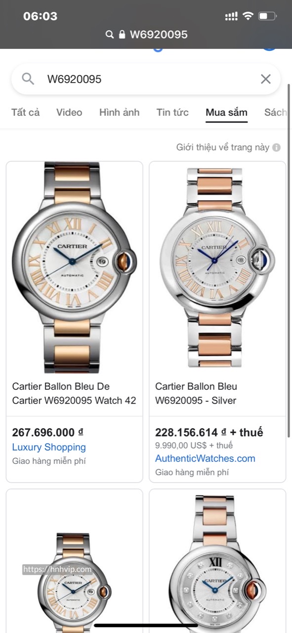 Ballon Bleu de Cartier W6920095