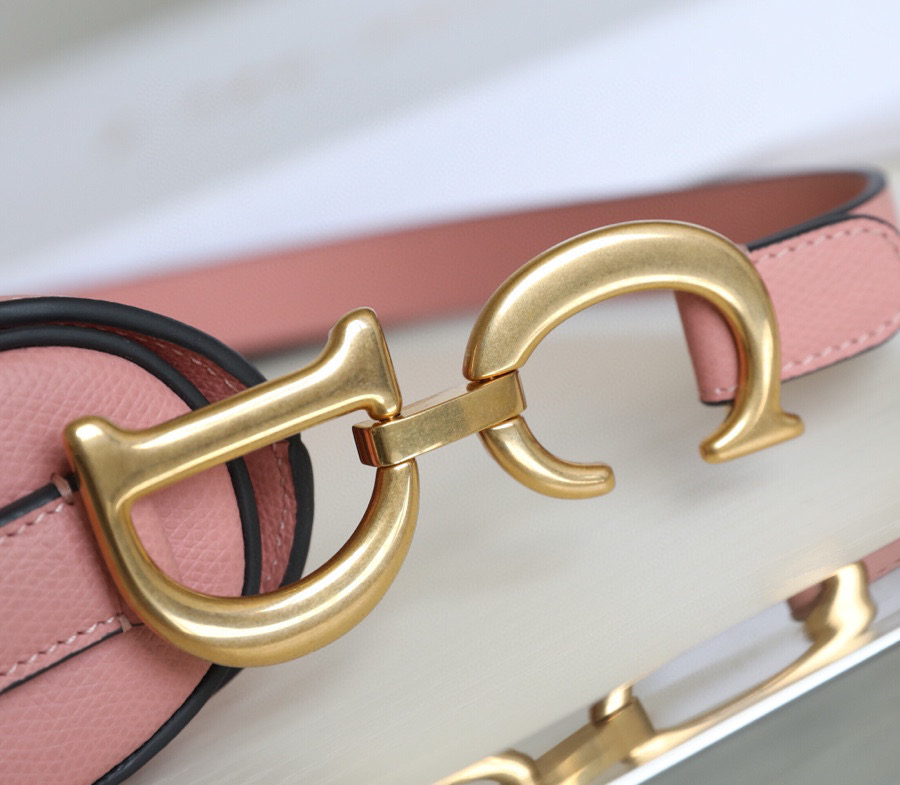 DIOR SADDLE BAG Pink Grained Calfskin