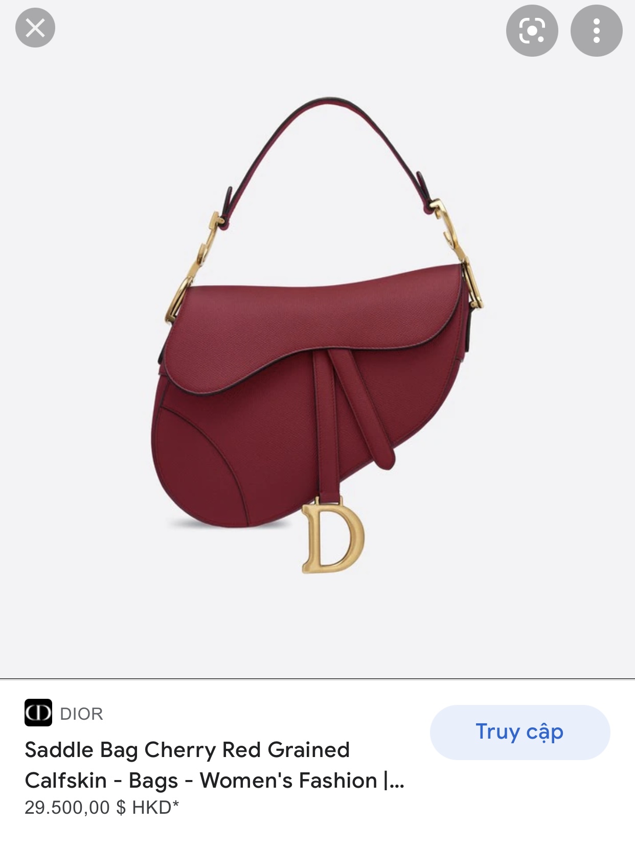 DIOR SADDLE BAG Cherry Red Grained Calfskin