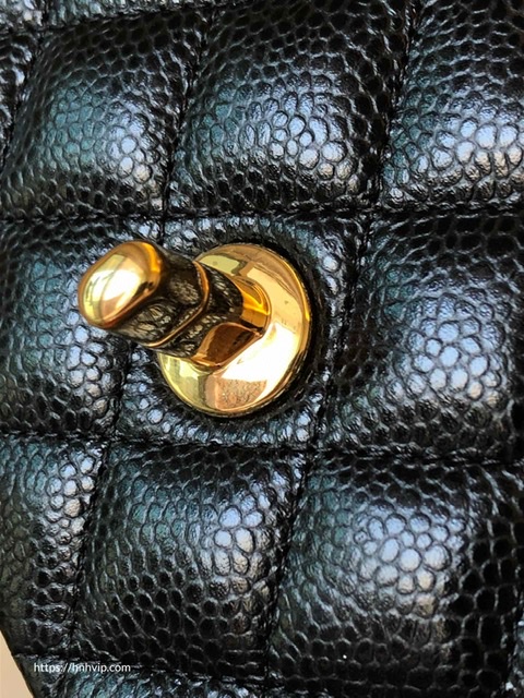 Chanel Classic Flap Bag 25cm