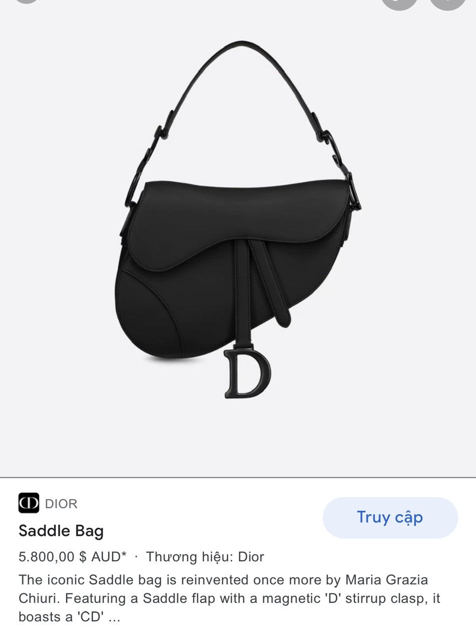 DIOR SADDLE BAG Black Ultramatte Calfskin