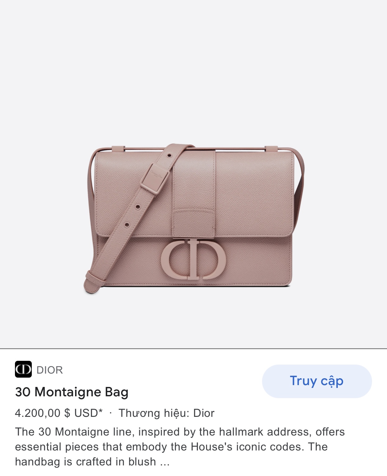 DIOR 30 MONTAIGNE BAG Blush Ultramatte Grained Calfskin