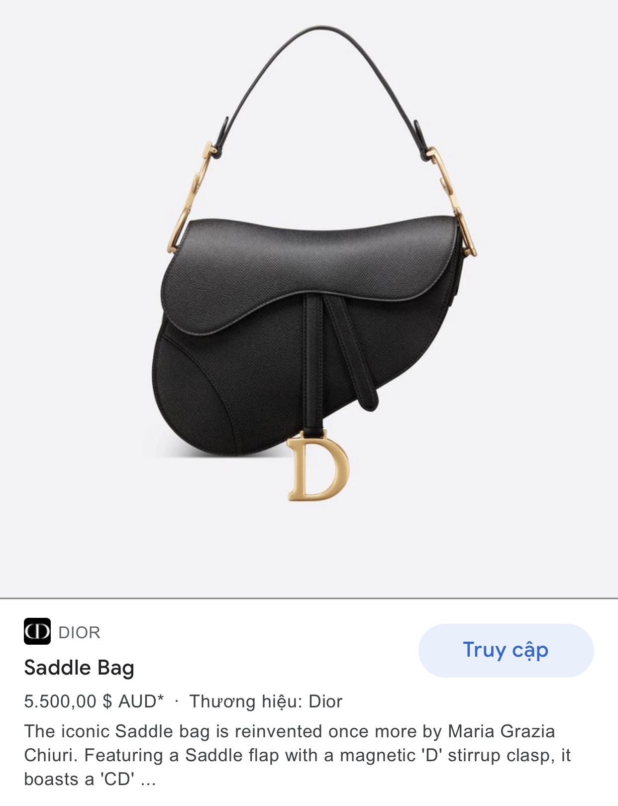 DIOR SADDLE BAG Black Grained Calfskin