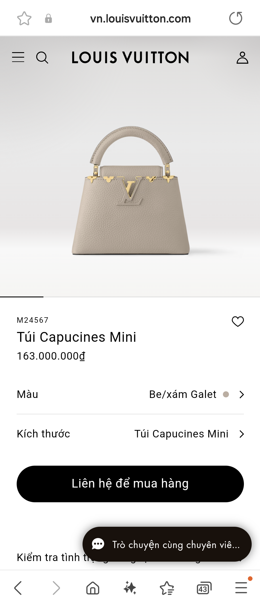 Louis Vuitton M24567 Capucines Mini