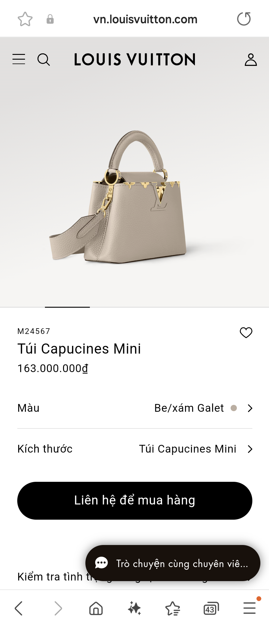 Louis Vuitton M24567 Capucines Mini