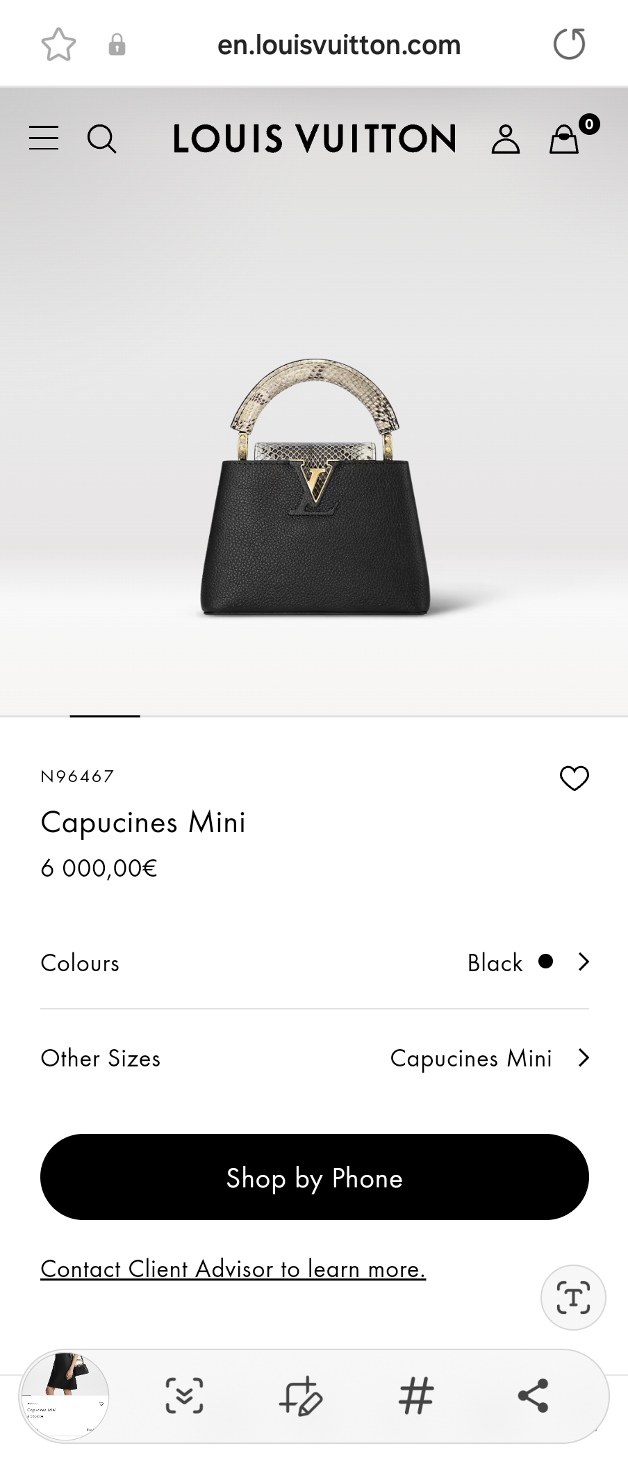 LOUIS VUITTON N96467 Capucines Mini
