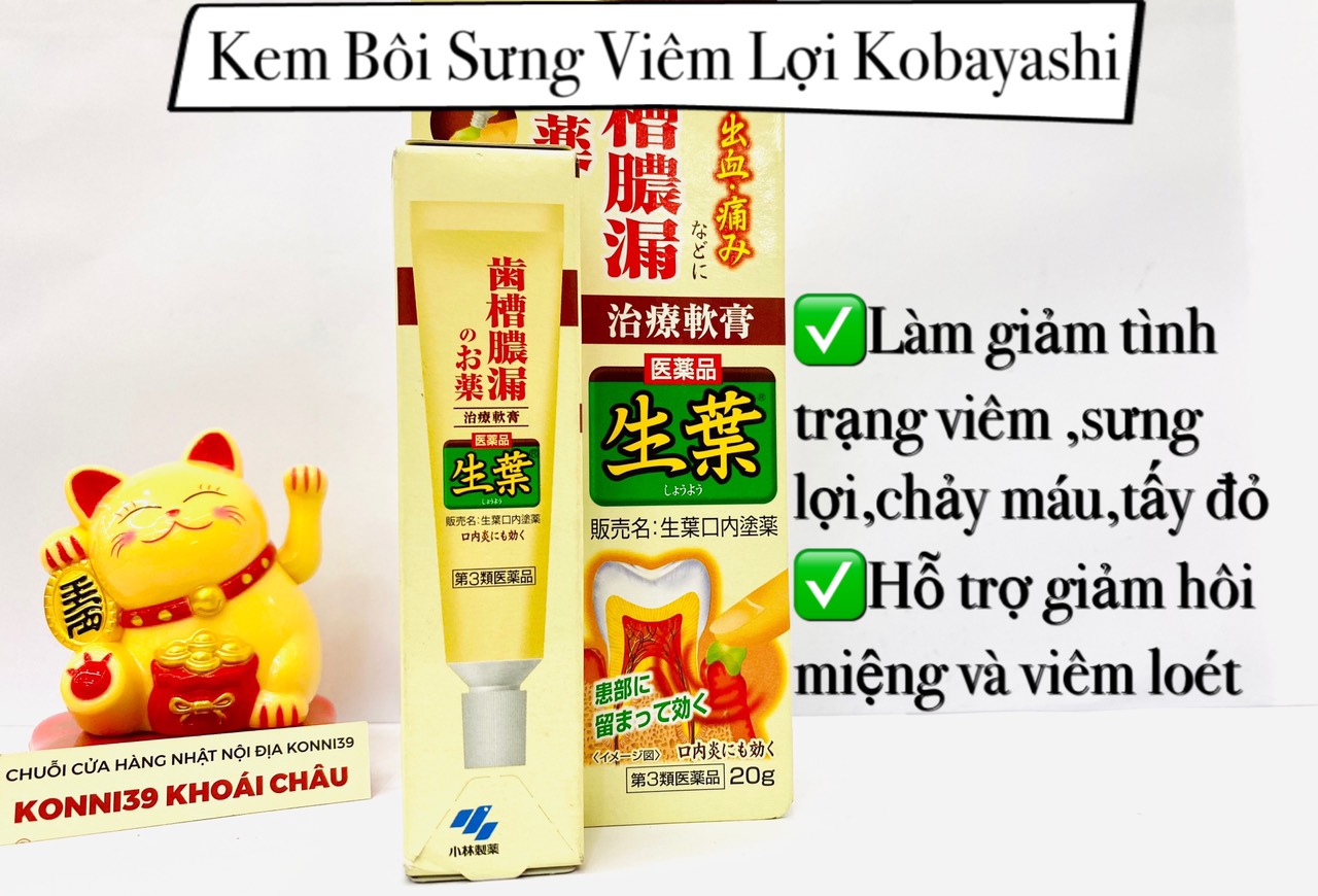 Kem bôi sưng viêm lợi Kobayashi 20g