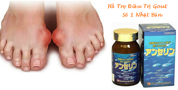 Viên Uống Hỗ Trợ Điều Trị Gout Minami Anserine 240 Viên
