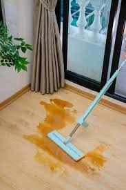 Cây Lau Nhà Tự Vắt Chữ Nhật Kaiyo Màu Xanh Mint