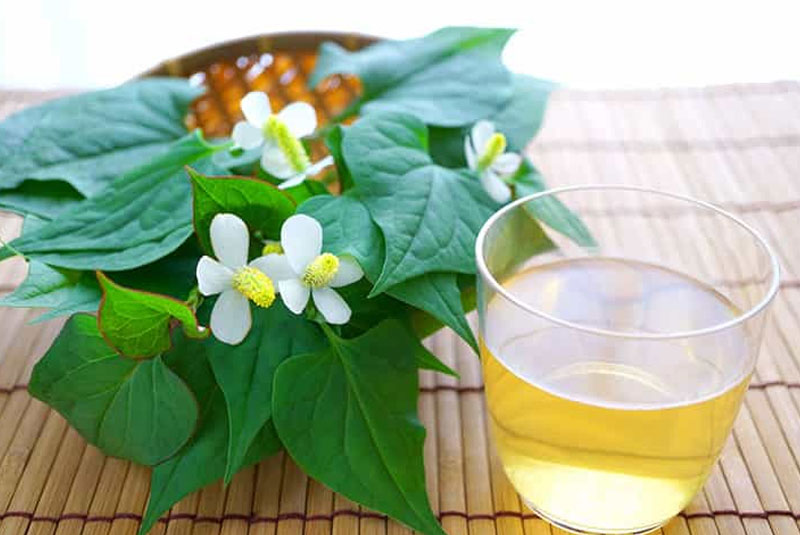 Trà diếp cá Orihiro 60 gói