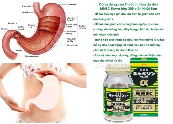 Viên uống điều trị dạ dày Kowa Kyabejin MMSC 300 viên