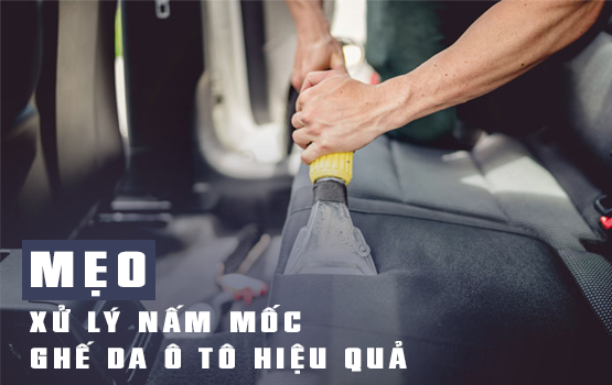 Mẹo hay để đánh bay nấm mốc trên ghế da ô tô nhanh chóng và hiệu quả