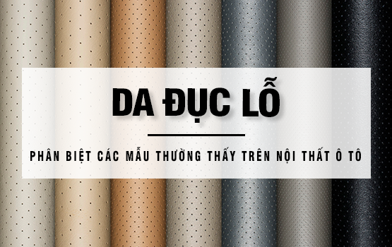 Bỏ túi 