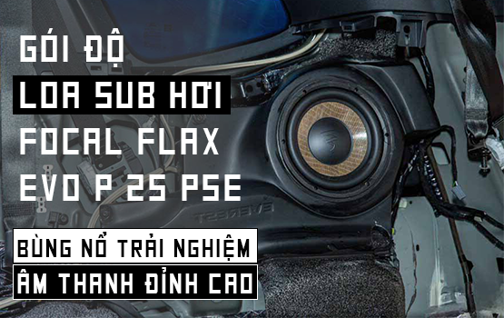 NÂNG CẤP - ĐỘ LOA SUB HƠI FOCAL FLAX EVO P 25 PSE