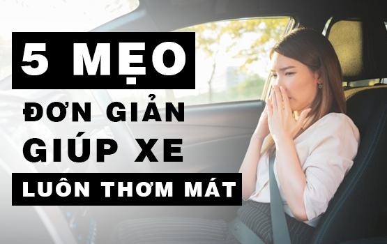 5 MẸO ĐƠN GIẢN BIẾN KHÔNG GIAN XE CỦA BẠN THƠM NGÁT