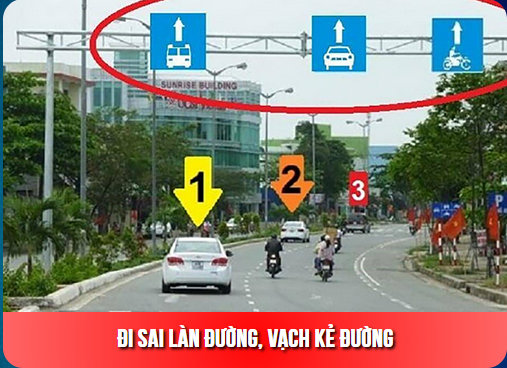 Vietmap live pro