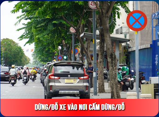 Vietmap live pro