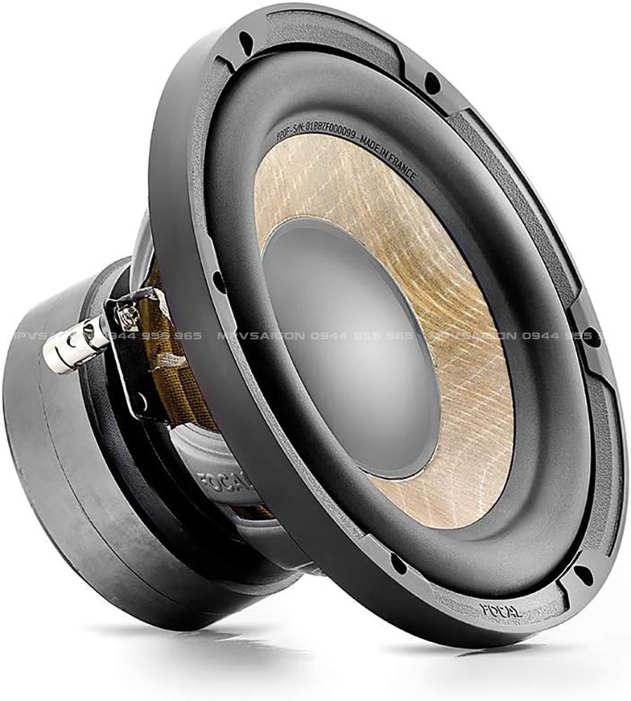 Focal P20 F Flax Cone - Sub hơi nhỏ gọn nhưng mạnh mẽ