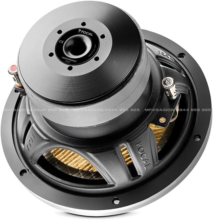 Focal P20 F Flax Cone - Sub hơi nhỏ gọn nhưng mạnh mẽ