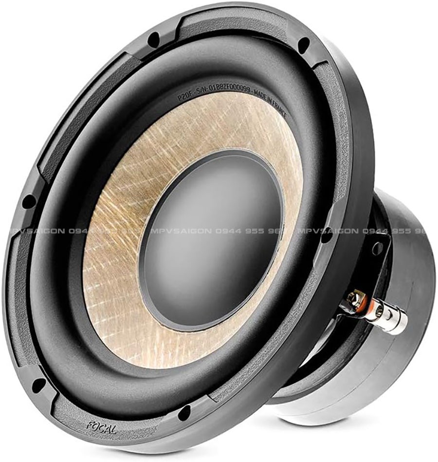 Focal P20 F Flax Cone - Sub hơi nhỏ gọn nhưng mạnh mẽ