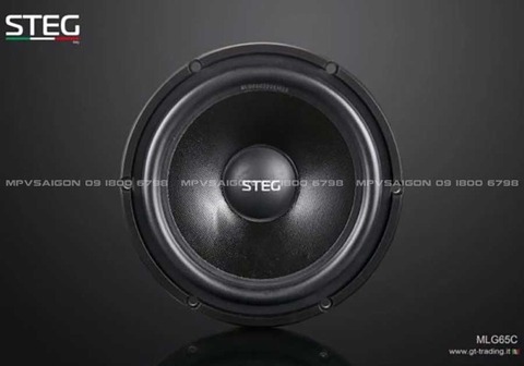 Loa cánh phân tần Steg MLG65C