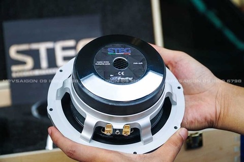 Loa 3-way Master Stroke SS-1, SS-3, SS-6 dòng loa Hi-end cao cấp