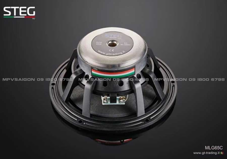 Loa cánh phân tần Steg MLG65C