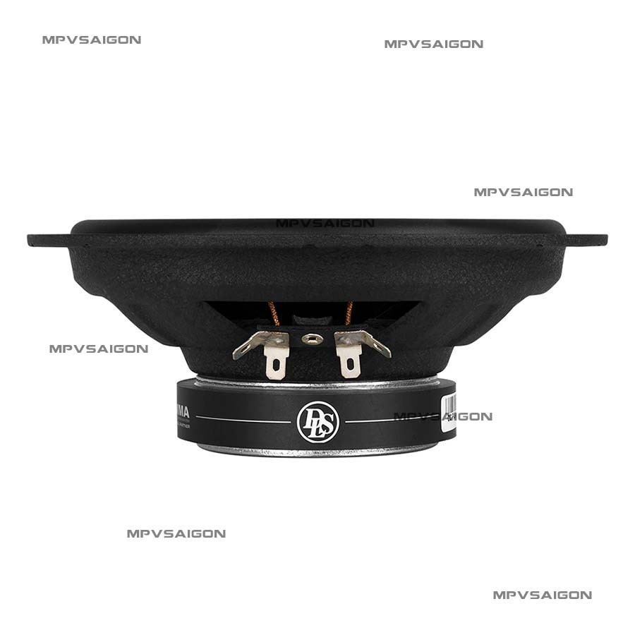 Loa cánh đồng trục DLS PA6