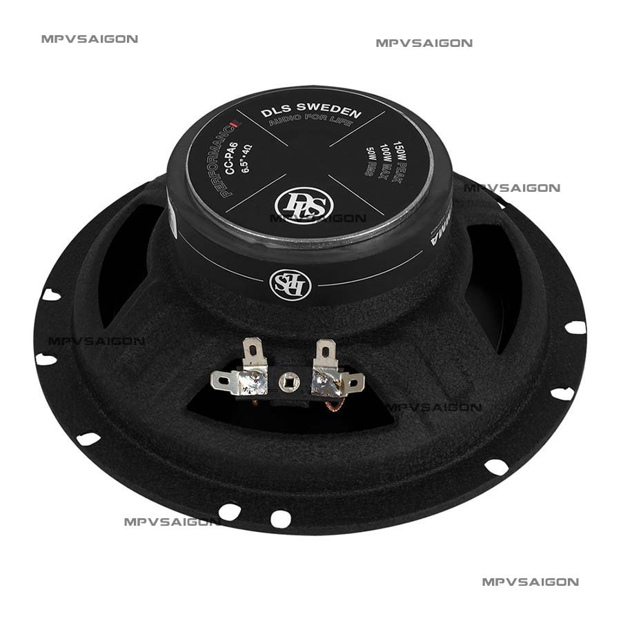 Loa cánh đồng trục DLS PA6