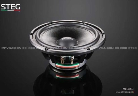 Loa cánh phân tần Steg MLG65C