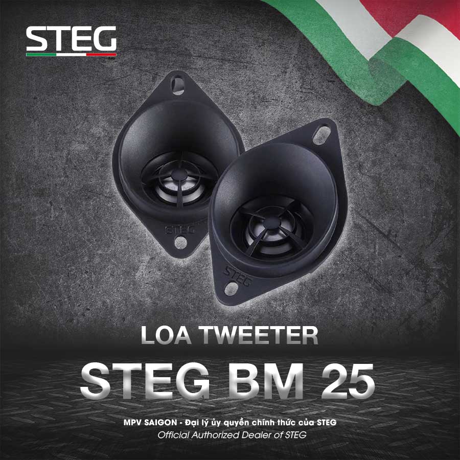 Loa tweeter STEG BM 25