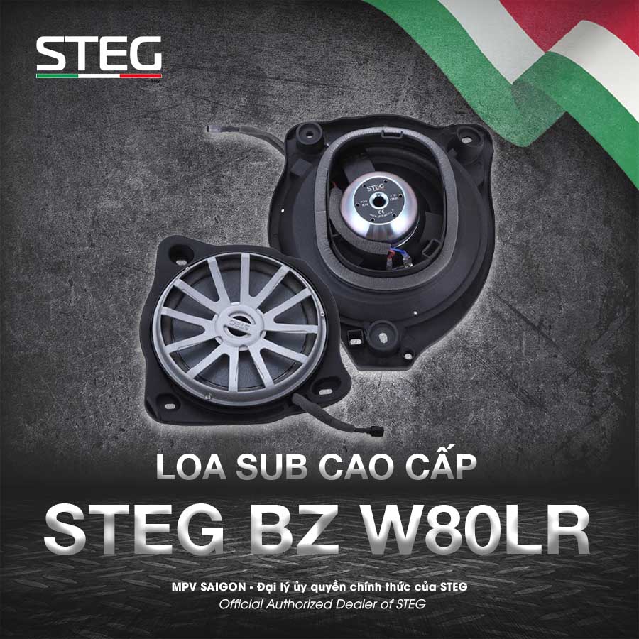 Loa Sub STEG BZ W80L/R