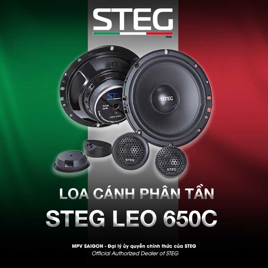 Loa cánh phân tần STEG LEO - 650C