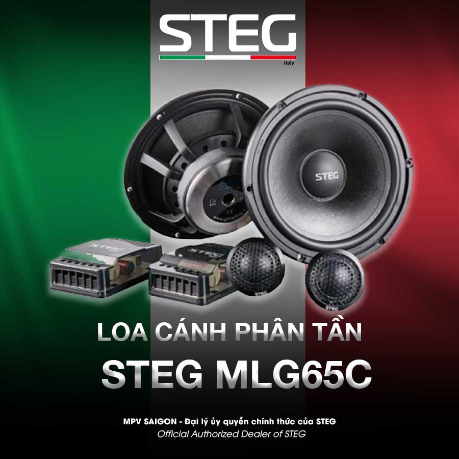 Loa cánh phân tần Steg MLG65C