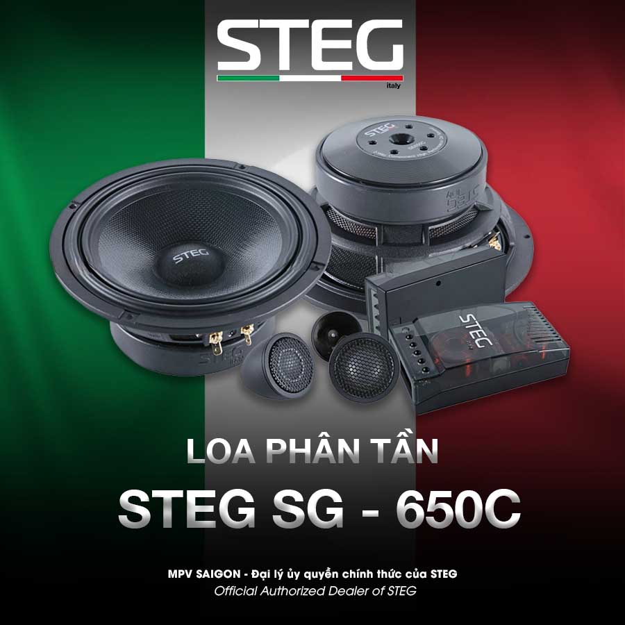 Loa phân tần - Loa Steg SG - 650C