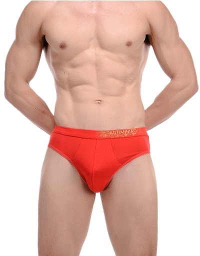 QUẦN SỊP NAM CÁ TÍNH AOT 242