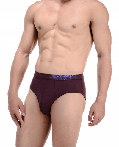 QUẦN SỊP NAM CÁ TÍNH AOT 242