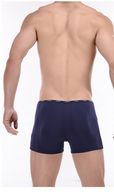 QUẦN LÓT NAM BOXER VẢI TƠ TRE BAMBOO MỀM MẠI 353