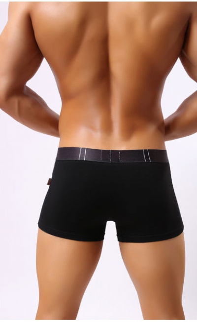 QUẦN LÓT HƯỚNG DƯƠNG VẬT LÊN TRÊN 360