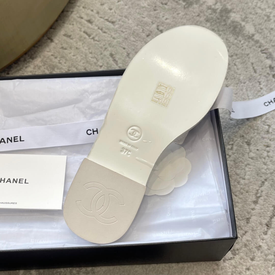 CC Slides