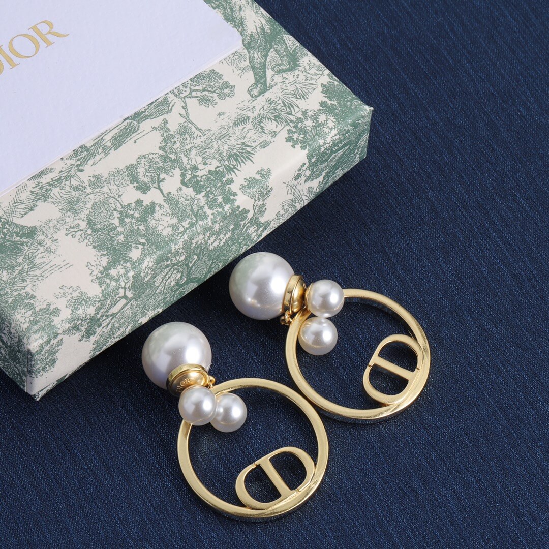 CD Earrings
