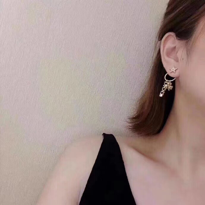 CD Earrings