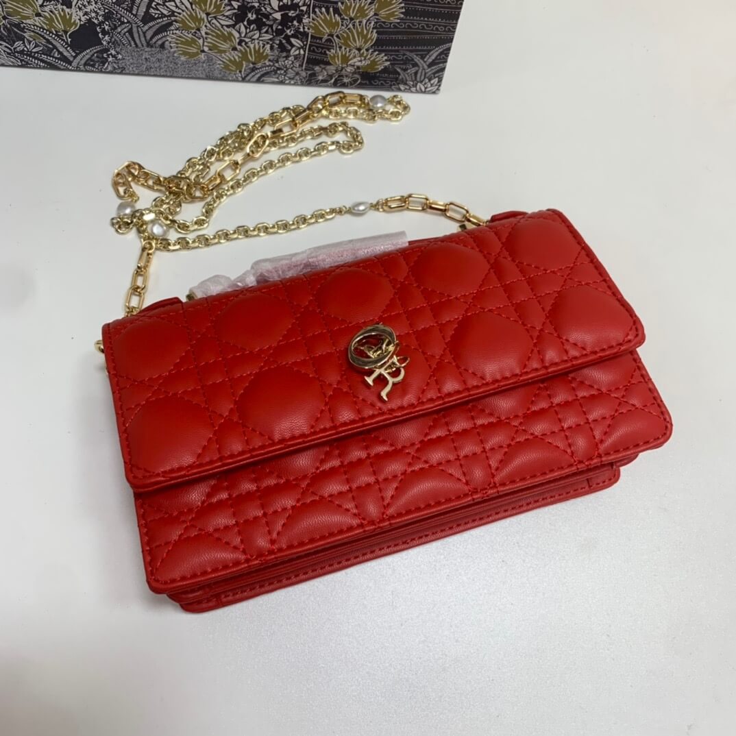 CD  Lady Handle Pouch