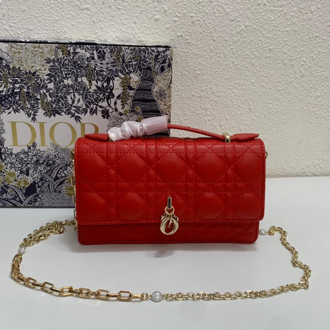 CD  Lady Handle Pouch