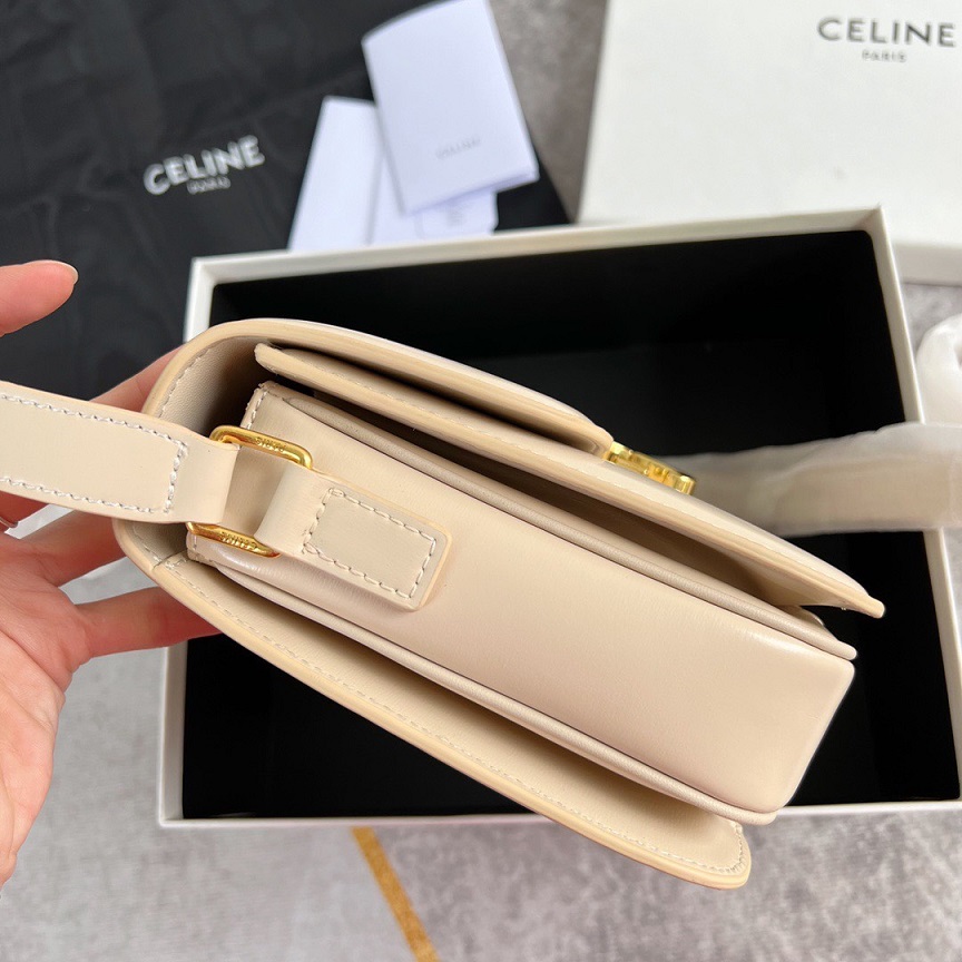 CEL Triomphe Crossbody 23